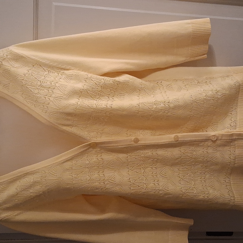 Christopher & Banks Soft Yellow Knit Cardigan